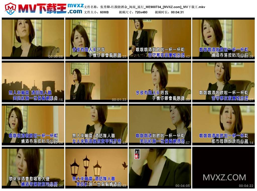张秀卿-红颜烧酒命_闽南_流行_ME900734